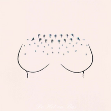 Charger l'image dans la galerie, Accessoires beauté sexy , bijou de seins : couvre tétons.