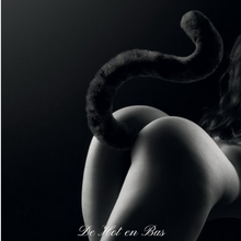 Charger l'image dans la galerie, Magnifique plug coquin avec queue de chat en fausse fourrure de haute qualité pour des jeux érotiques avec vos partenaires.